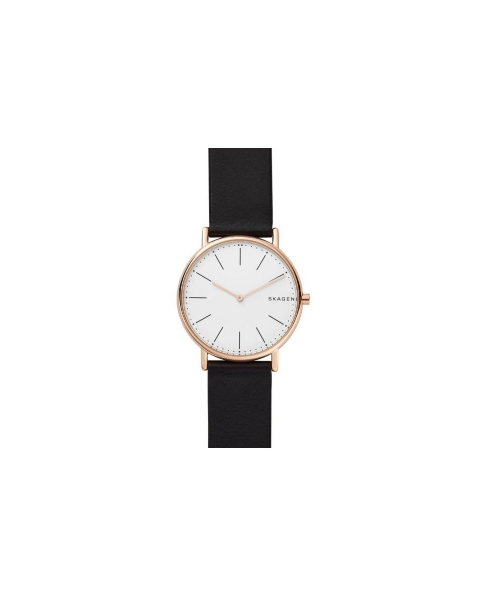 Skagen Correa para Reloj Skagen SIGNATUR SKW6430