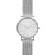 Skagen Cinturino da Orologio Skagen HAGEN SKW6442