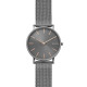 Skagen Armbander für Uhr Skagen HAGEN SKW6445