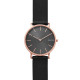 Skagen Bracelete do Relogio Skagen HAGEN SKW6447