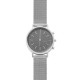 Skagen Cinturino da Orologio Skagen HALD SKT1409