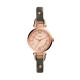 Fossil Correa para Reloj Fossil CLASSICS ES3862