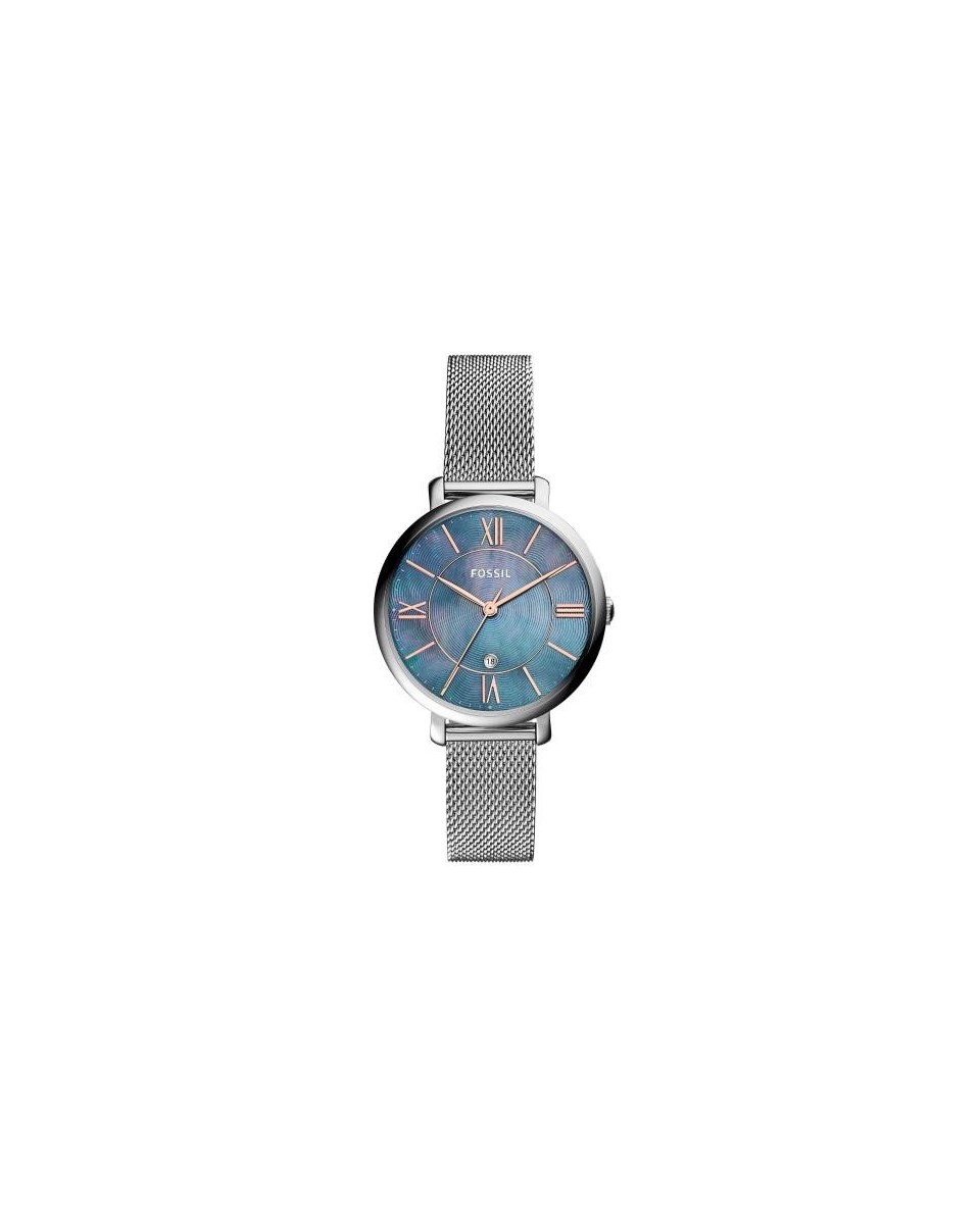 Fossil Armbander für Uhr Fossil STEEL BLUE ES4322