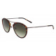 Gafas de Sol Sting  SST075-0E80