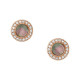 Jewel Fossil Earring CLASSICS JF02949791 - TicTacArea