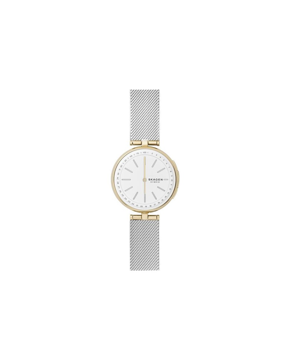 Skagen Armbander für Uhr Skagen SIGNATUR SKT1413