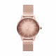 Diesel Correa para Reloj Diesel CASTILIA DZ5592