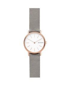 Skagen ремешок для часы Skagen SIGNATUR SKW2697