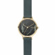 Skagen Bracelet pour Montre Skagen ANITA SKW2720