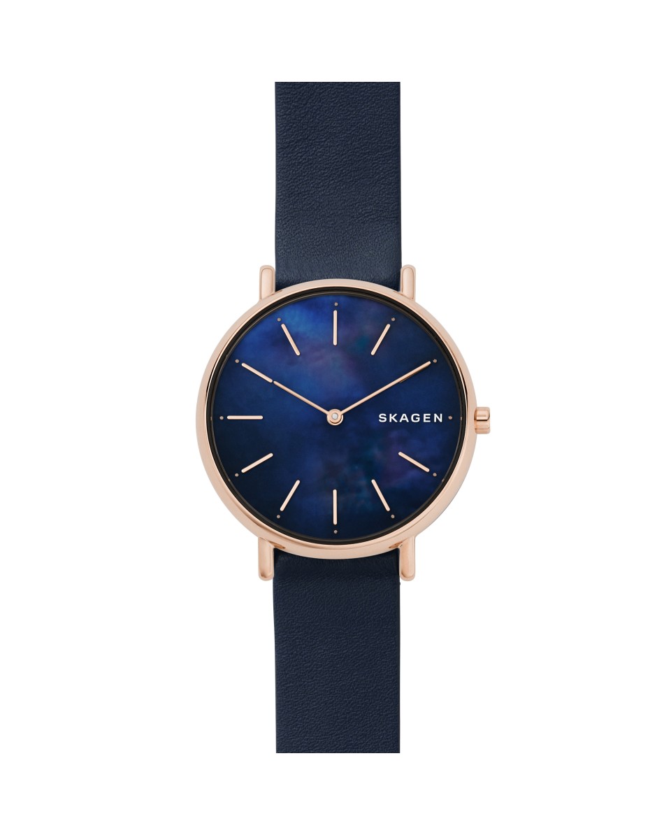 Skagen Armbander für Uhr Skagen SIGNATUR SKW2731