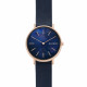 Skagen ремешок для часы Skagen SIGNATUR SKW2731