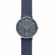 Skagen Cinturino da Orologio Skagen AAREN SKW6469