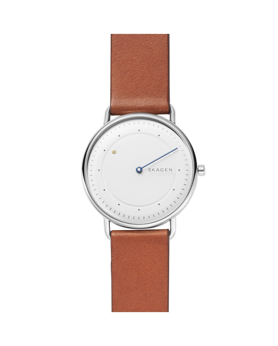 Skagen Cinturino da Orologio Skagen HORIZONT SKW6487