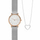 Skagen ремешок для часы Skagen SIGNATUR SKW1106