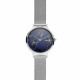 Skagen Armbander für Uhr Skagen ANITA SKW2718