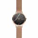 Skagen Cinturino da Orologio Skagen ANITA SKW2721