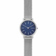 Skagen Correa para Reloj Skagen SIGNATUR SKW2759