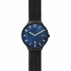 Skagen Correa para Reloj Skagen GRENEN SKW6461