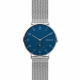 Skagen Armbander für Uhr Skagen AAREN SKW6468