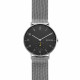 Skagen Cinturino da Orologio Skagen AAREN SKW6470