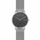 Skagen ремешок для часы Skagen SIGNATUR SKW6483