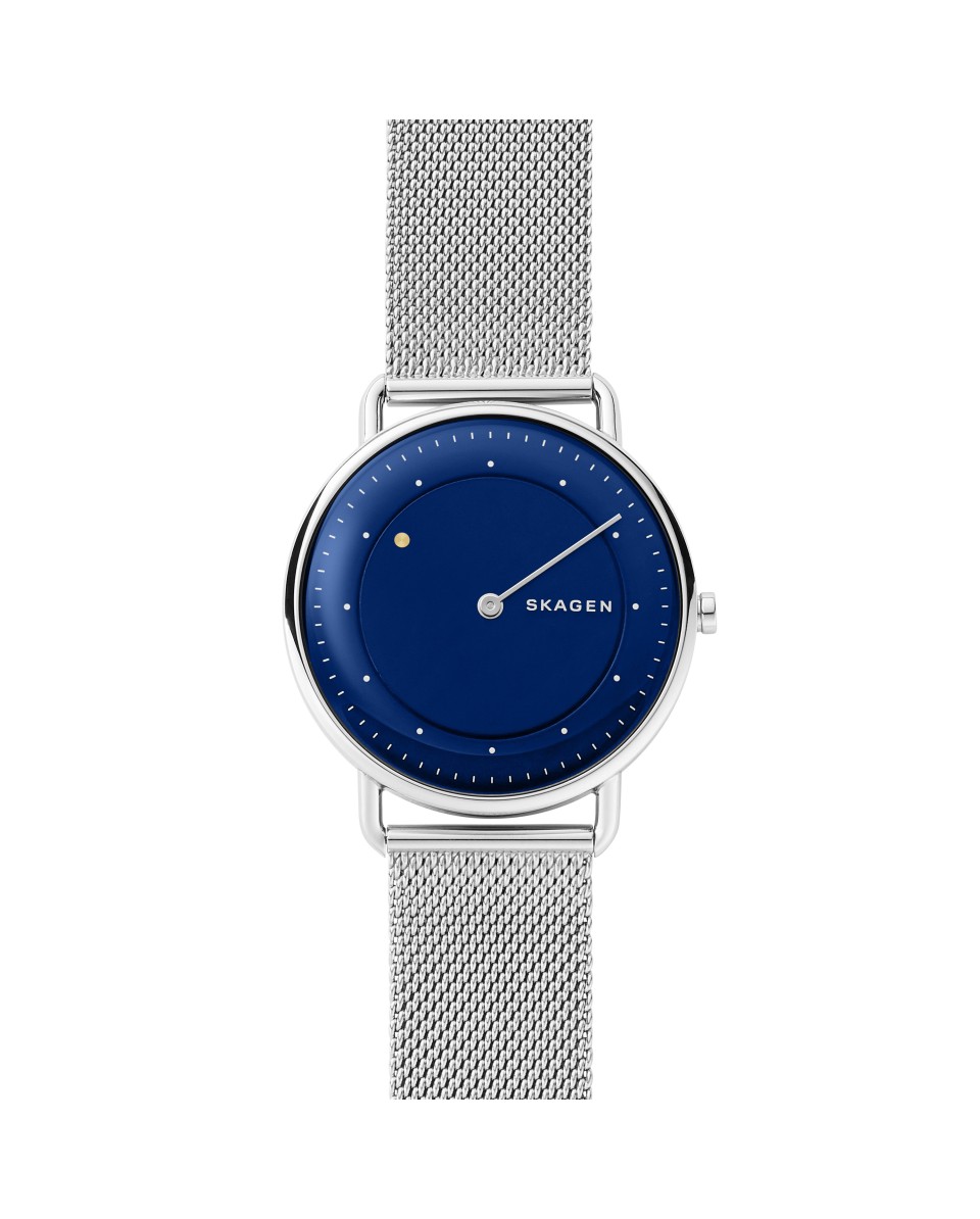 Skagen Armbander für Uhr Skagen HORIZONT SKW6488