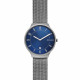 Skagen Armbander für Uhr Skagen GRENEN SKW6517