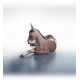 Lladro Donkey: Encanto em Porcelana