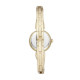 Buy Watch DKNY CROSSWALK NY2830