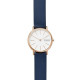 Reloj Skagen SIGNATUR SKW2838 - TicTacArea