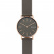 Skagen Correa para Reloj Skagen SIGNATUR SKW2794