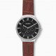 Skagen Cinturino da Orologio Skagen GRENEN SKW6536