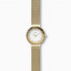 Skagen Bracelete do Relogio Skagen LEONORA SKW2800