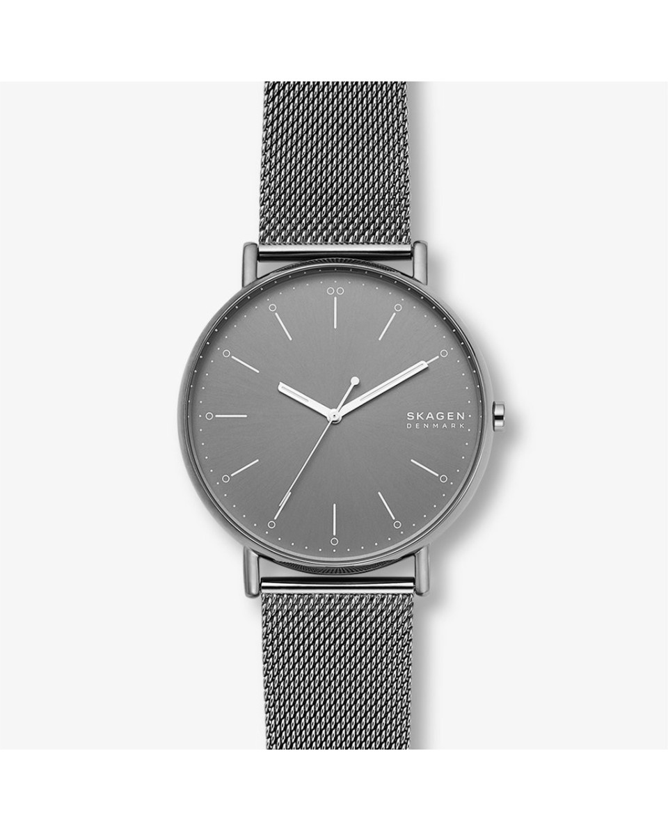 Skagen ремешок для часы Skagen SIGNATUR SKW6549