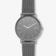 Skagen ремешок для часы Skagen SIGNATUR SKW6549