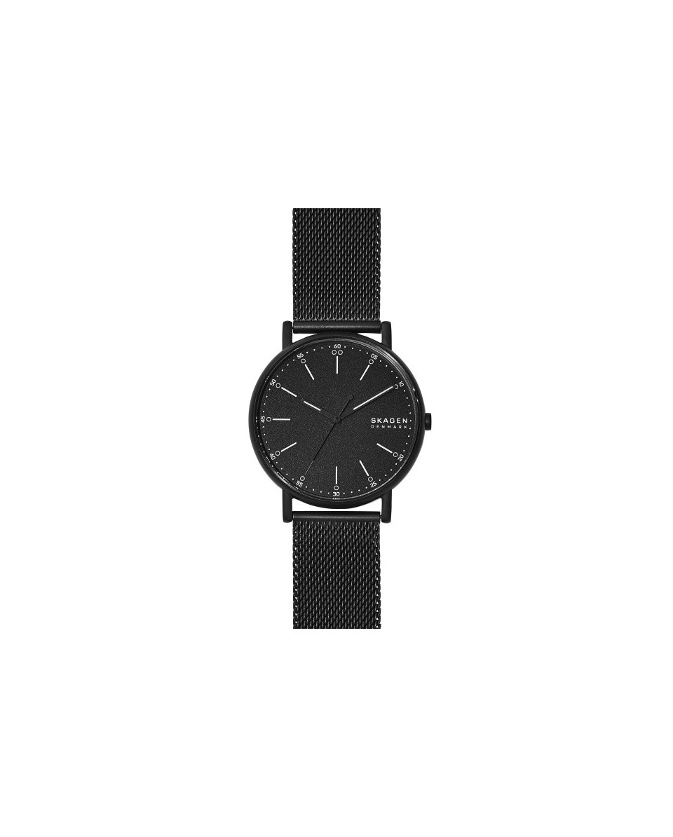 Bracelete Skagen  SIGNATUR SKW6579