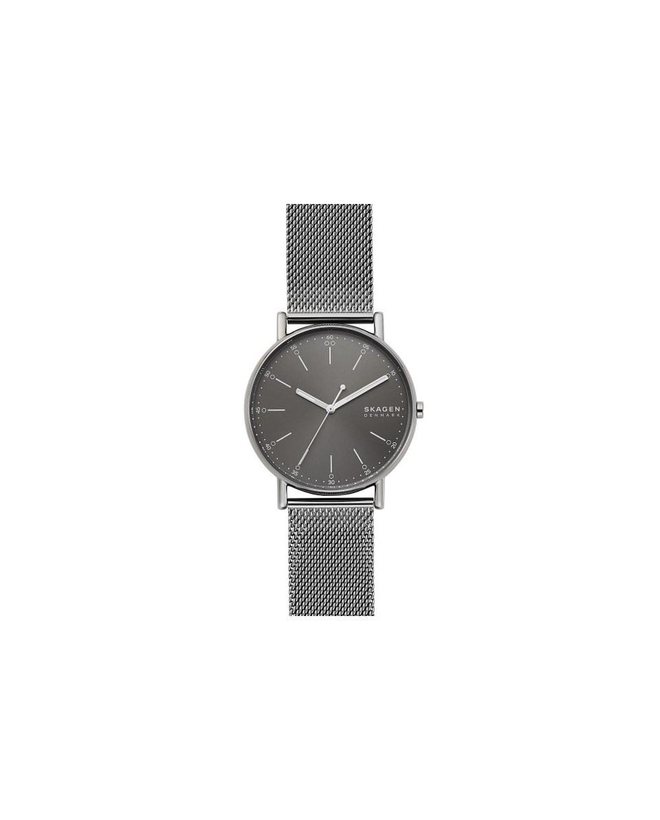 Cinturino Skagen  SIGNATUR SKW6577