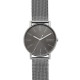 Cinturino Skagen  SIGNATUR SKW6577