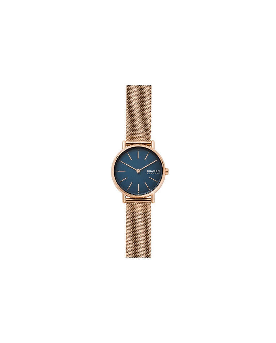 Cinturino Skagen  SIGNATUR SKW2837