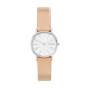 Cinturino Skagen  SIGNATUR SKW2839