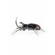 Rhinoceros Beetle Lladro Porcelain 01009425 - TicTacArea