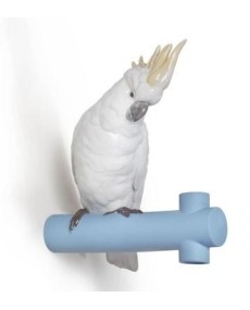 Lladro Parrot Hang I Figurine - TicTacArea