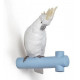 Lladro Parrot Hang I Figurine - TicTacArea