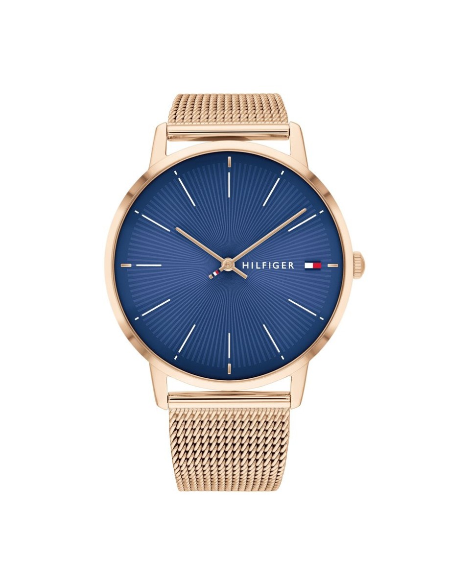 Kaufen Tommy Hilfiger ALEX 1782246 uhr