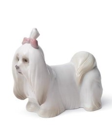 Lladro 01008368 Figurine MALTESE