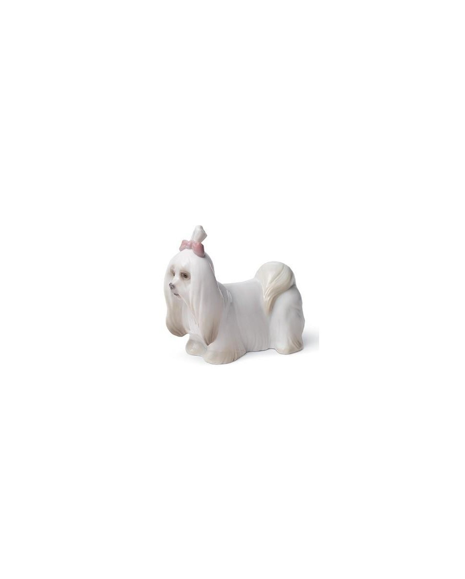 Lladro 01008368 Figurine MALTESE