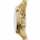 Watch Michael Kors BRADSHAW MK5798